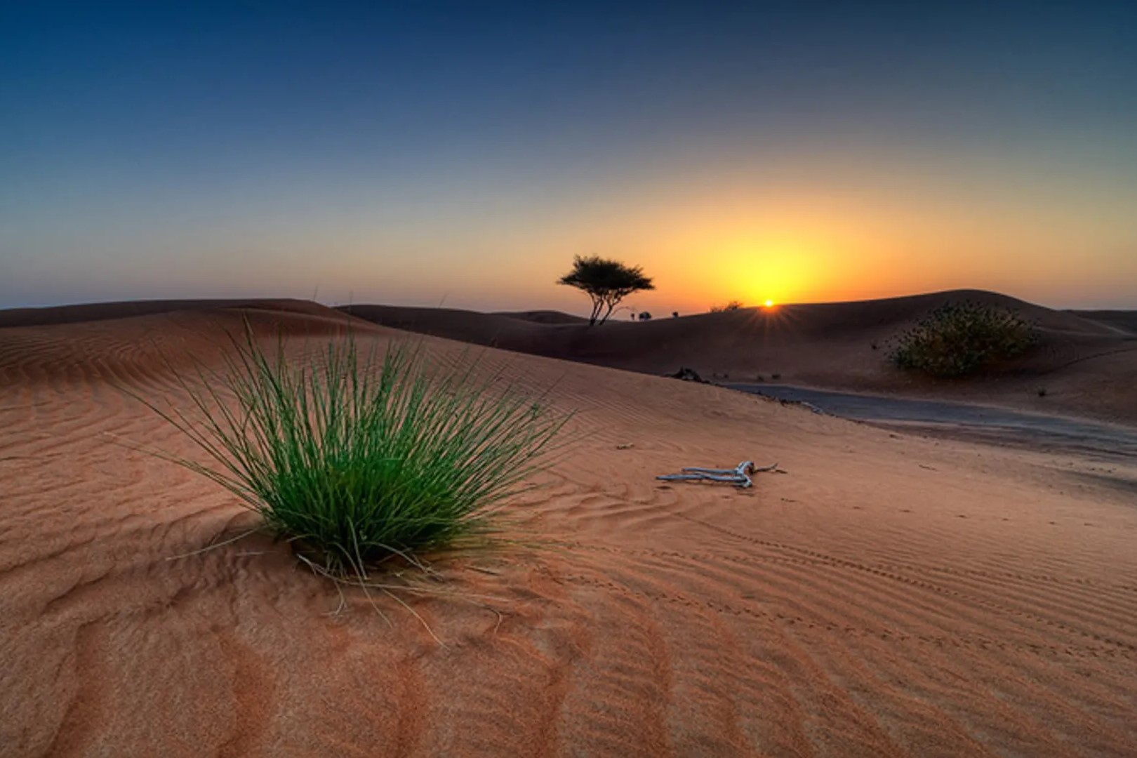 آشنایی با جاذبه‌های کویر ایران: از ریگ‌زارها تا روستاهای سنتی